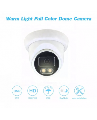 New style 2MP HD 1080P Warm Light 15m Full Color Indoor Outdoor AHD Analog Camera